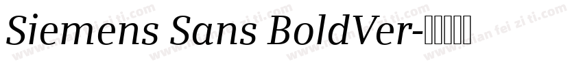 Siemens Sans BoldVer字体转换